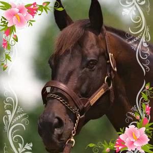 Meet your Posher, Rhonda